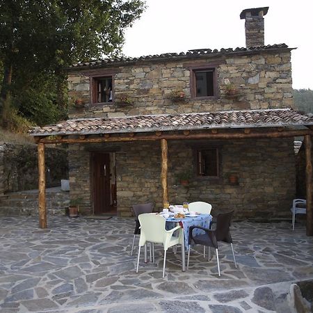 Casa Princesa Peralta Lousã Buitenkant foto